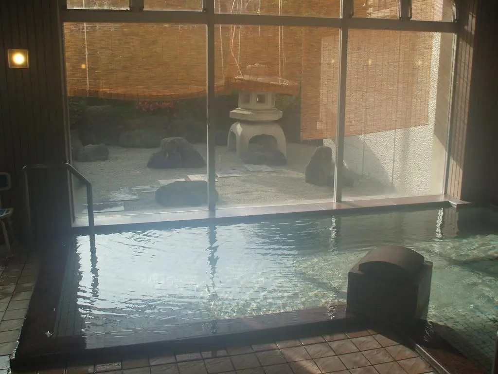 Annex Fujiya Ryokan