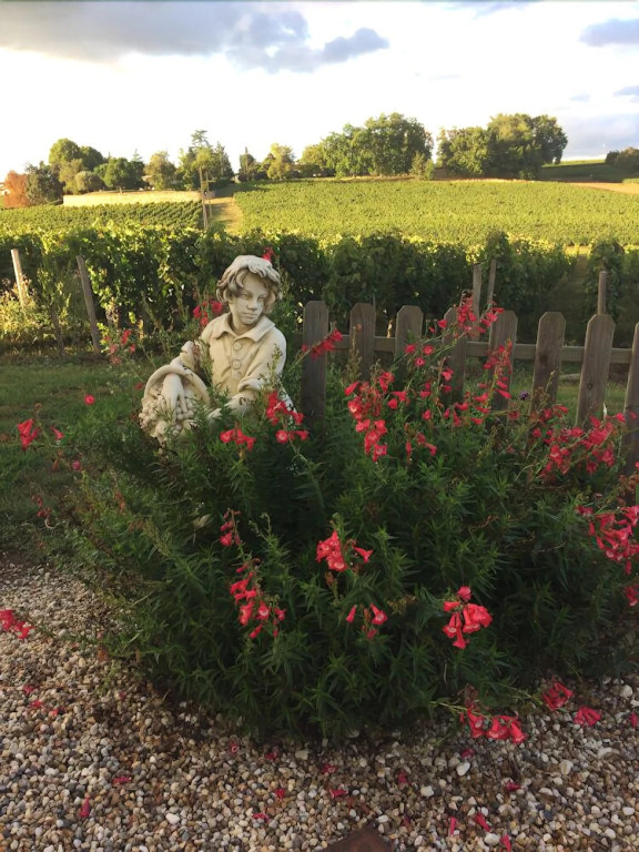 Au charmant des vignes