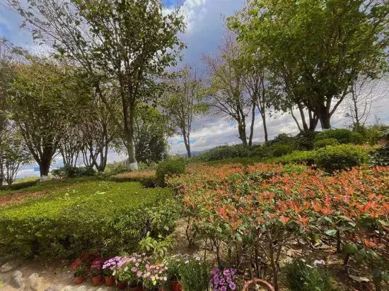 Dali Adore guest house