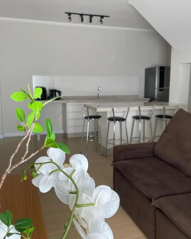 Almada Studio 77