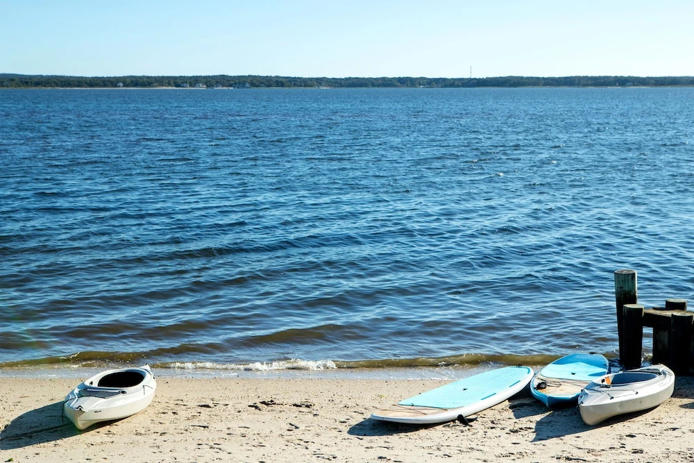 Aqua by American Beech