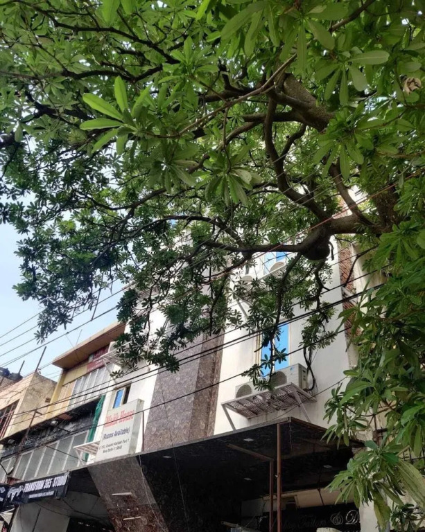 Hotel Green Arrow Rohini