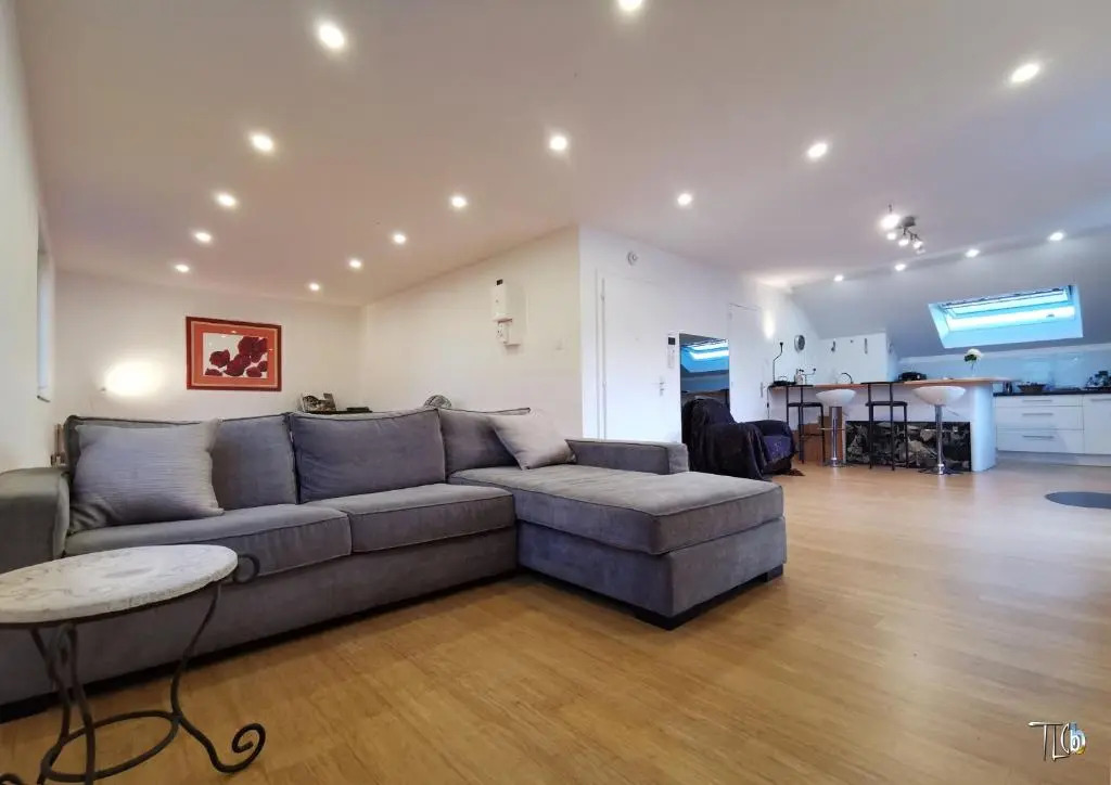 Loft avec Terrasse 77 M2 et 24 M2 STRASBOURG 2 à 6 couchages G Friendly
