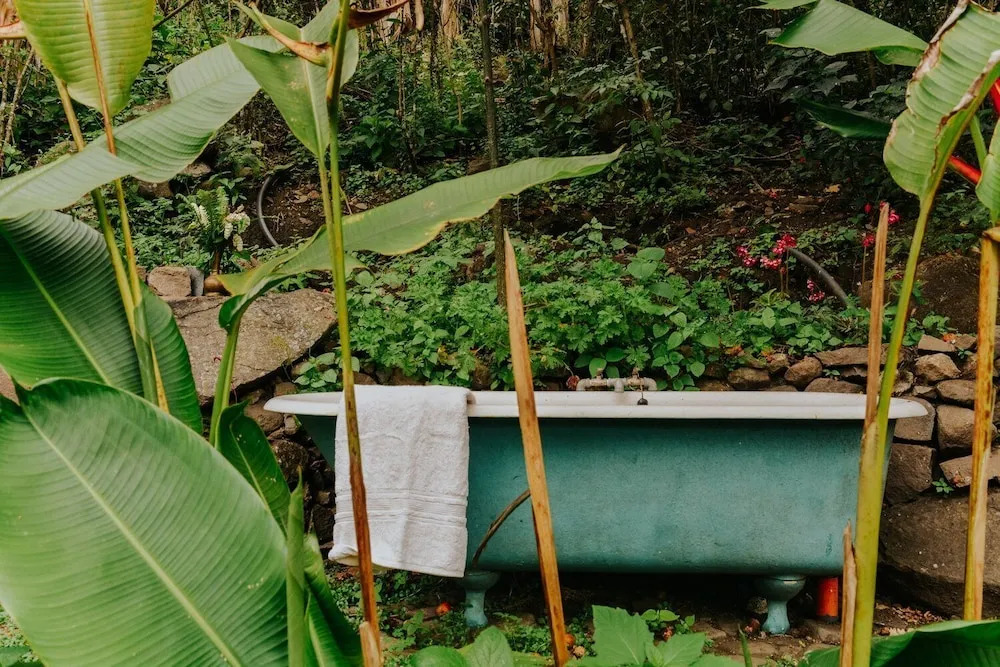 The Seed Habitat