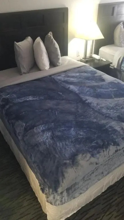OSU King Bed WI-FI Hotel 110 Booking