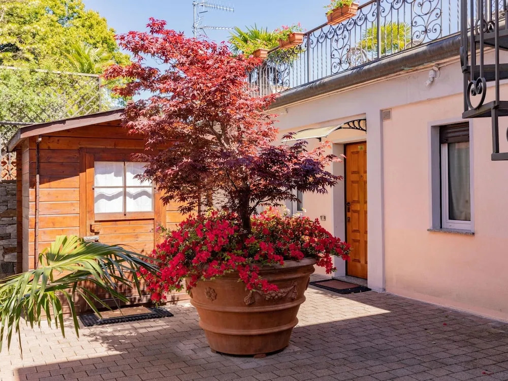 Apartment in Oggebbio With Sea View Terrace