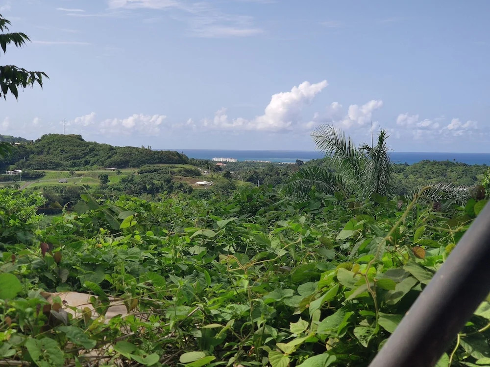 Tropical Breeze Escapes Couples Studio