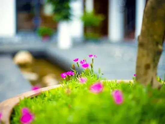 Fanjingshan weijianjingqi homestay
