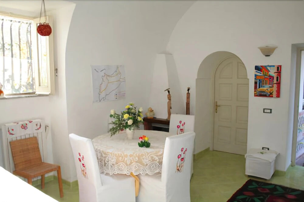 Il Tulipano