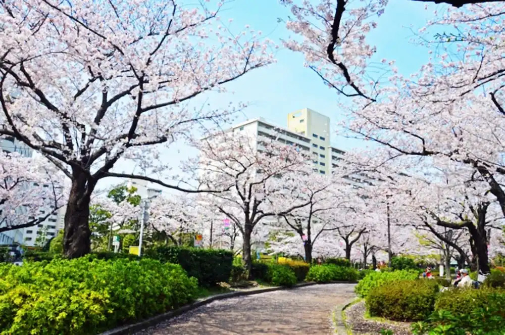 Ofu Jyoshi Kaikan 2nd Building – Caters to Women (отель для женщин)