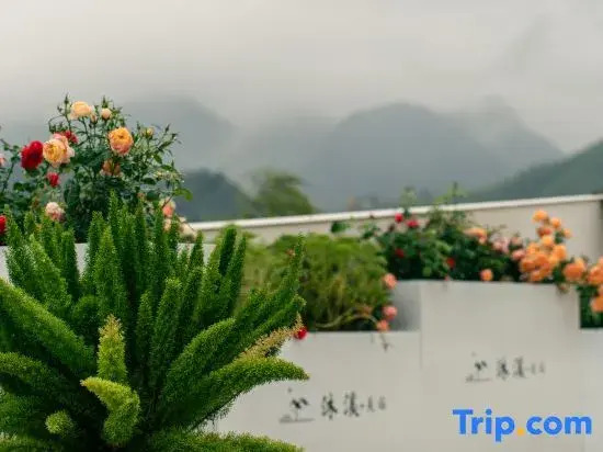 Muxi · MUXI Bamboo Sea Swimming Pool Designer Vacation Boutique Stay