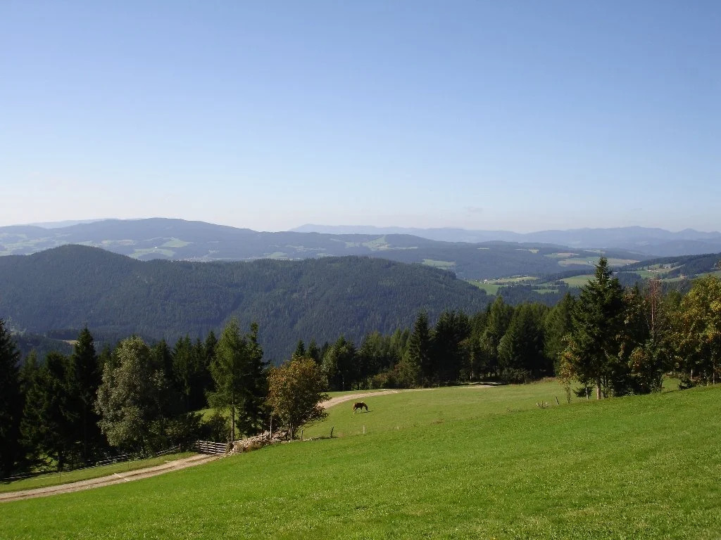 Feldkasten Biohof Lurger
