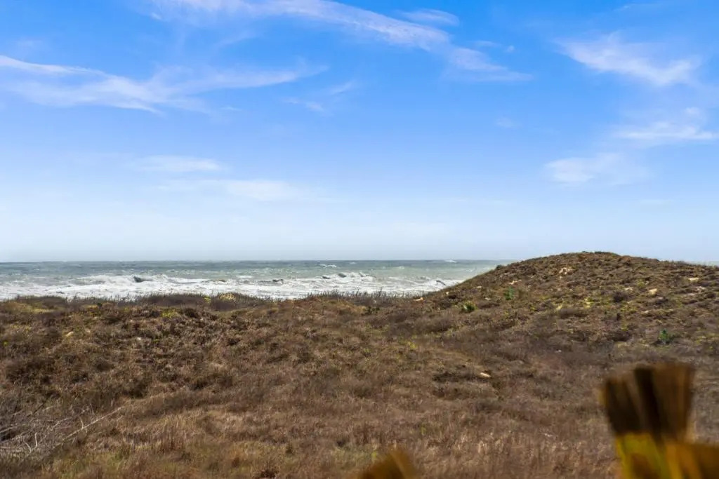 A View To The Blue At Sunflower Beach