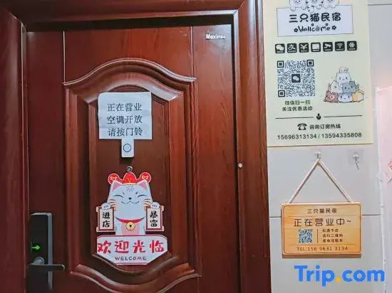 Three Cat Apartment