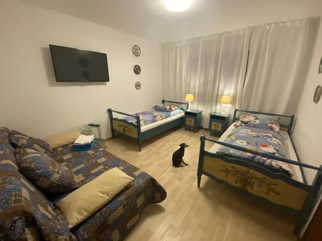 Ferienhaus Frei 2 Titisee