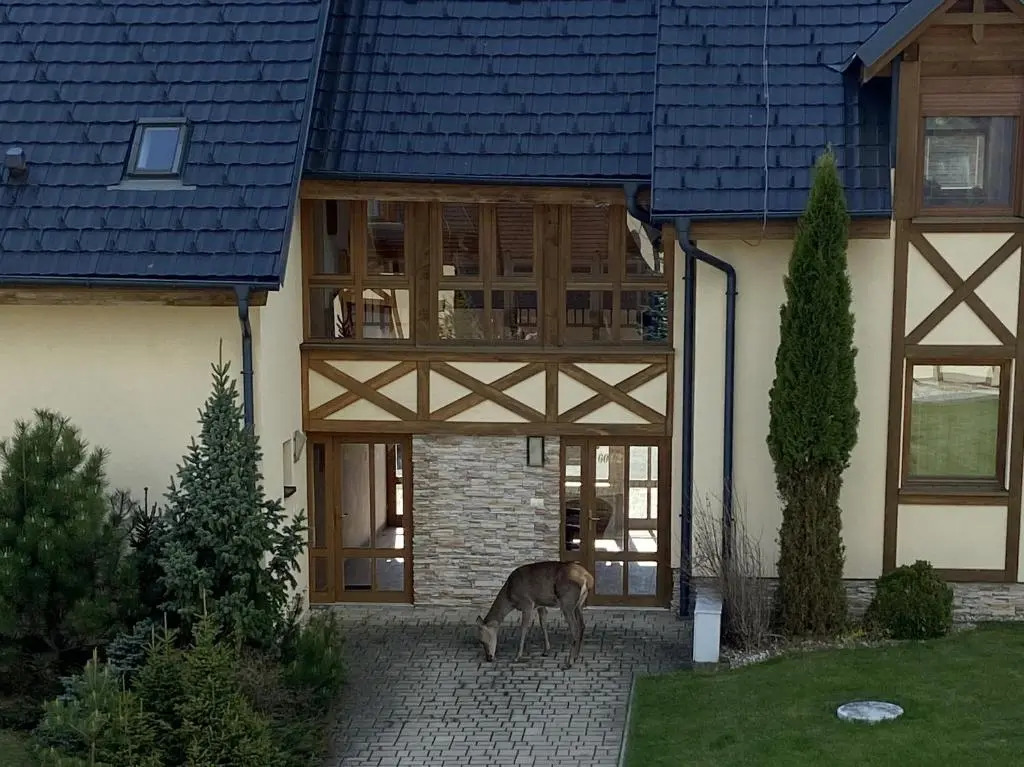 Apartment Highland