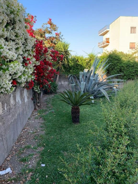 B&B Domus Vettii