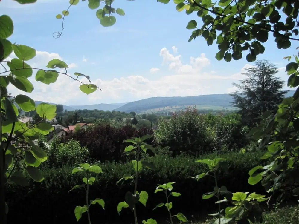 House Schwarzwaldblick Ettenheim