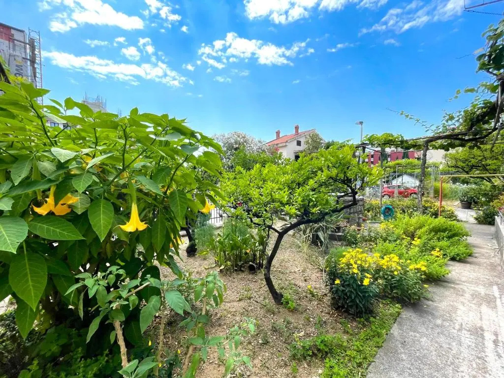 Garden House Budva