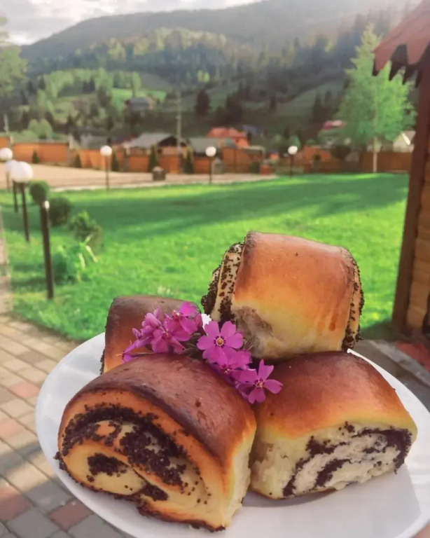 Карпатський маєток