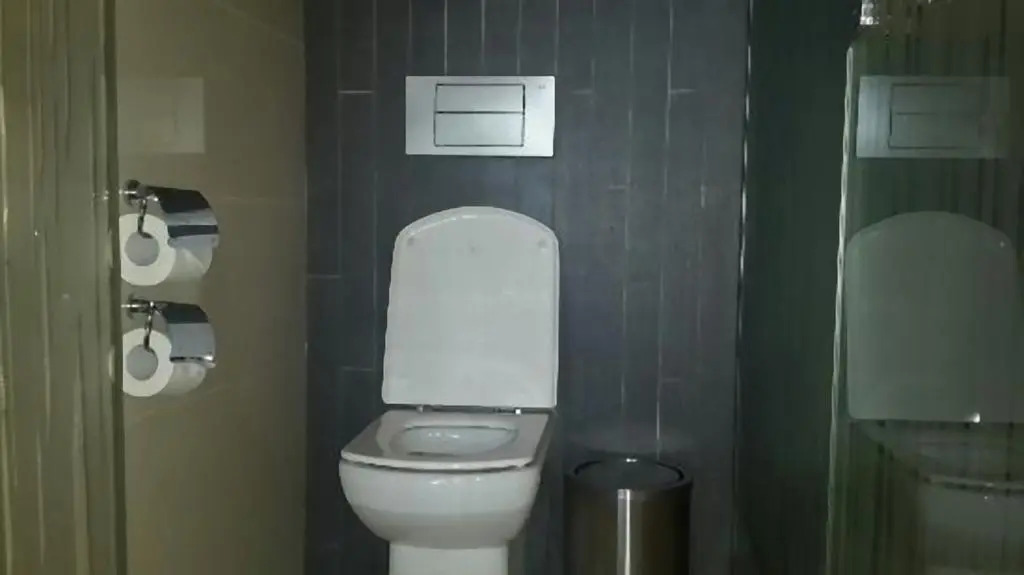 Hotel Dreams Araucania