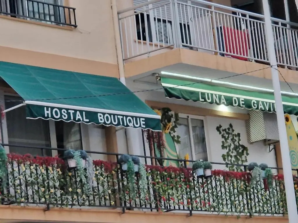 Hostal Boutique Luna de Gavín