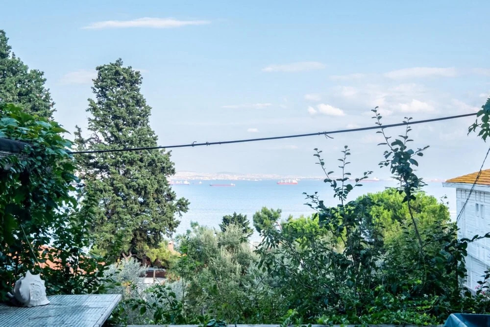 Lovely Flat Near Beach With Sea View in Buyukada