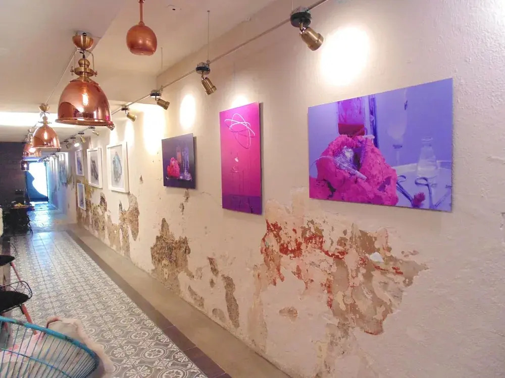 Suites Viveros Coyoacán I Hospedaje a tu medida
