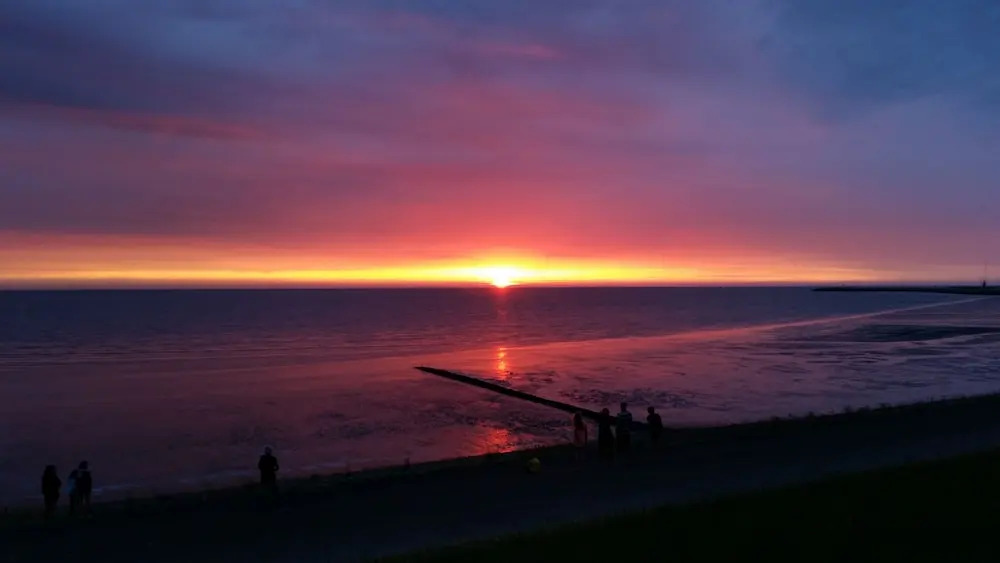 Bed and Breakfast De Zeehoeve