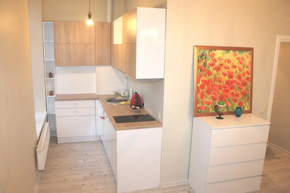 IGo apartment Uzupis