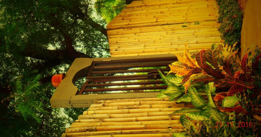 The Local Menjangan