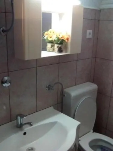 Guest house Ruza