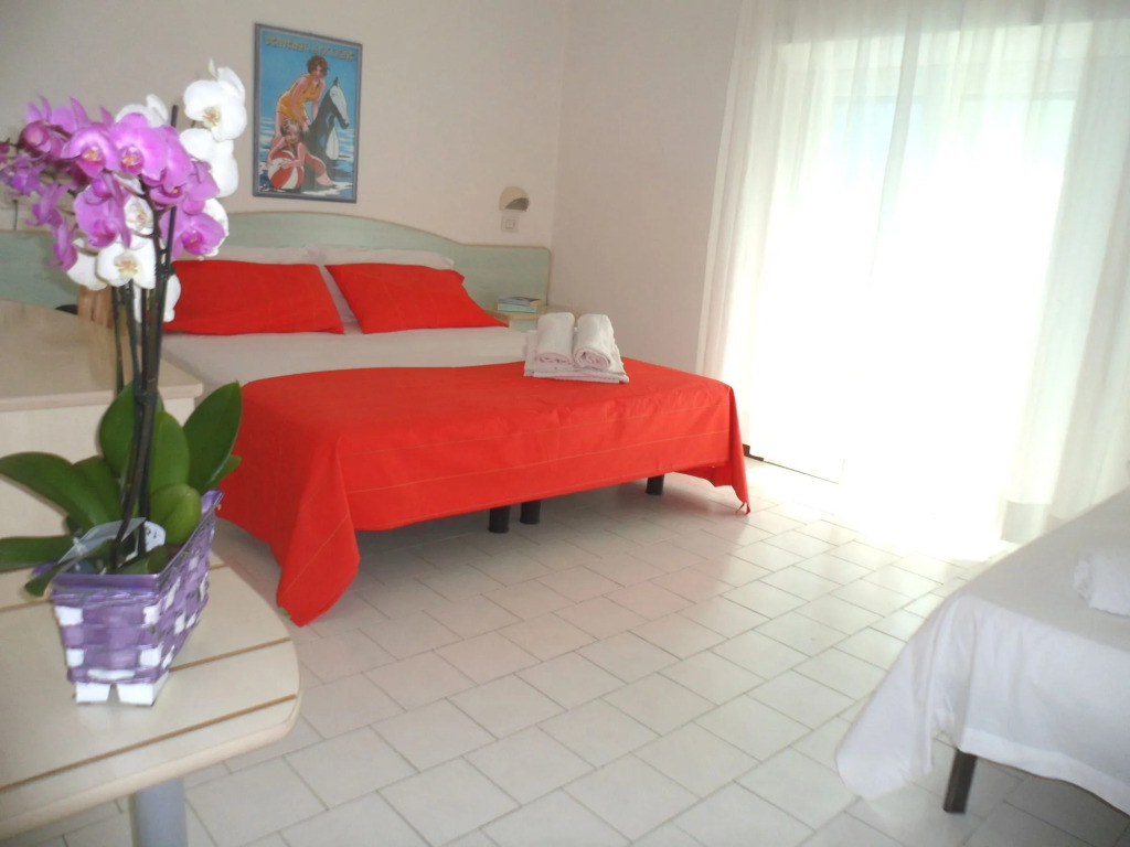 Hotel New Zanarini
