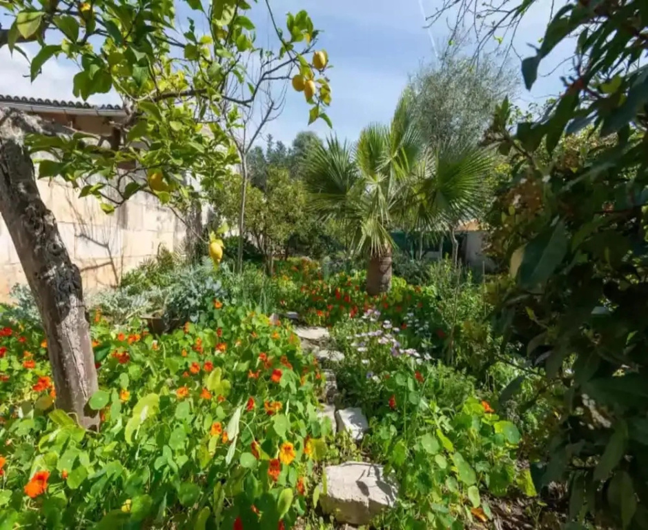 Construcciones Balaguer - Villa With Private Pool