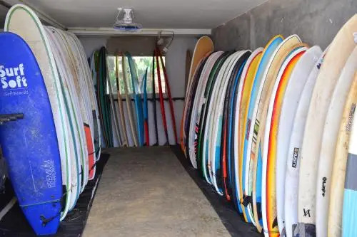 Cheeky Monkey Surf Camp