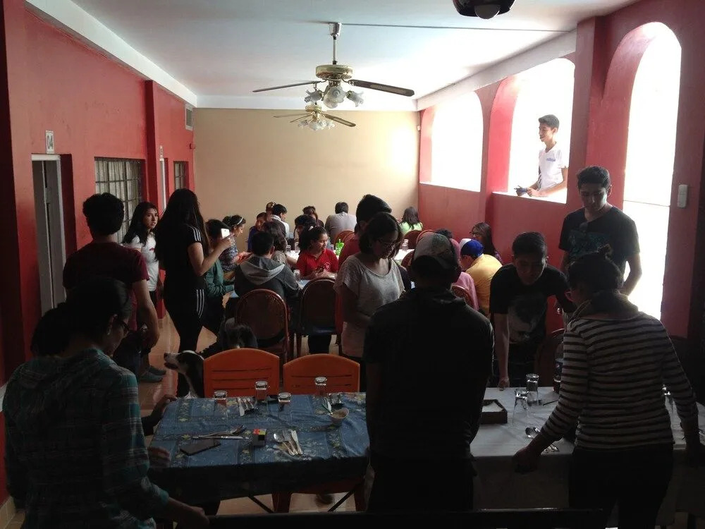 Wolf Hostel