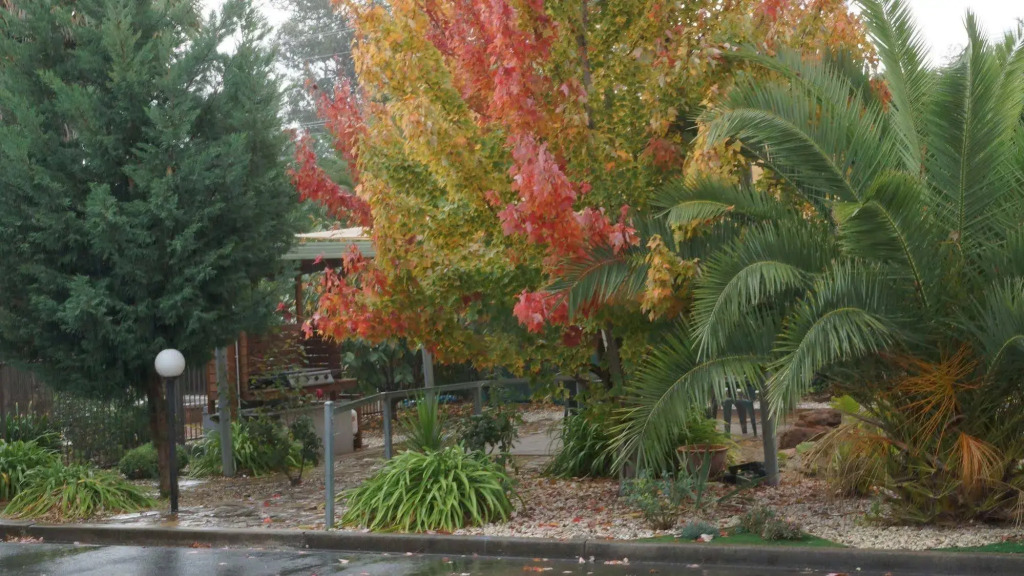 Golden Leaf Motel