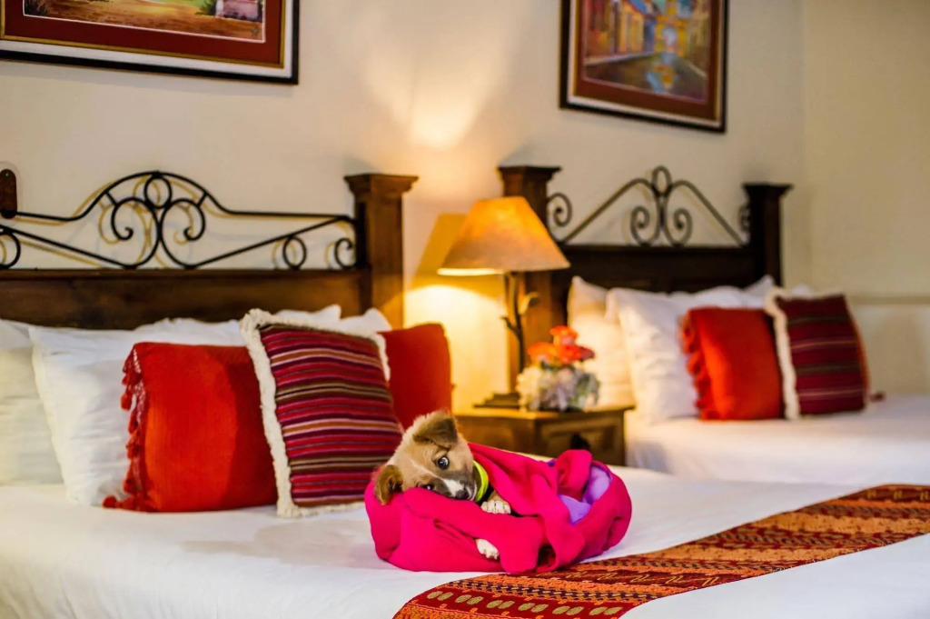 Hotel Meson del Valle by AHS