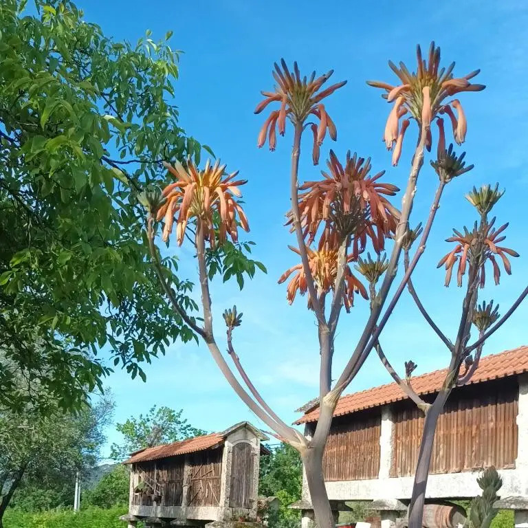 Quinta Da Penela