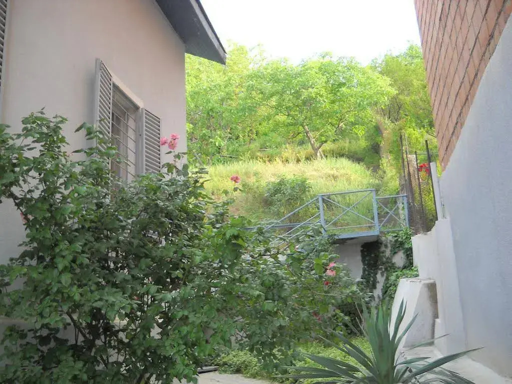 Cosmos Hostel