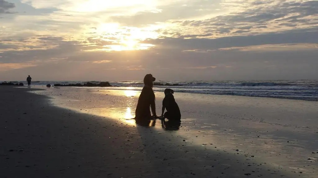 Folly Vacation 620 Entire Home plus Apt, one block to the beach and pet friendly