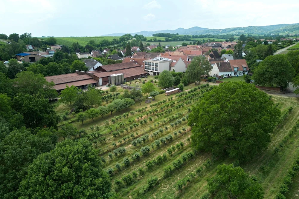WeinHotel Fritz Walter