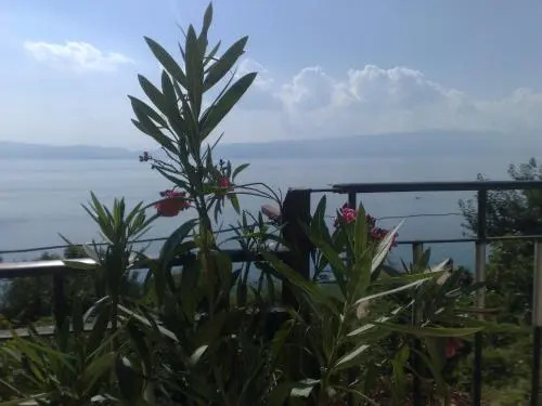 Sonce Guest House