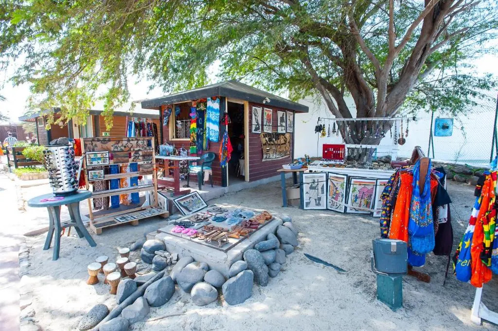 Oasis Belorizonte