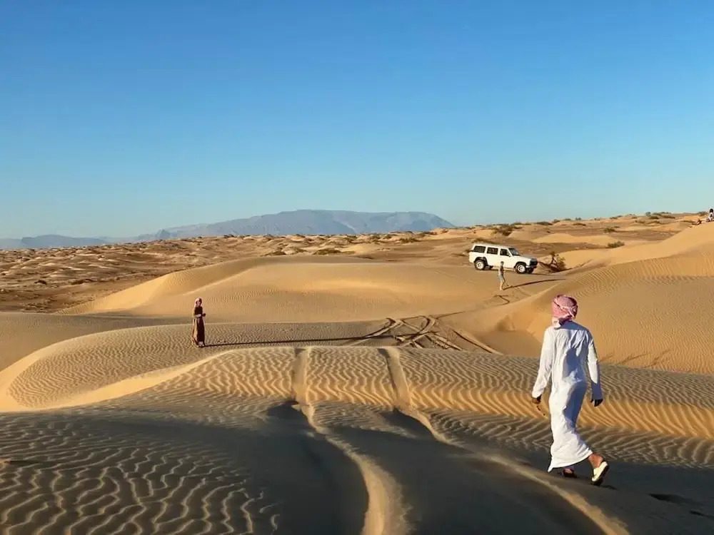 Golden Palm Oasis