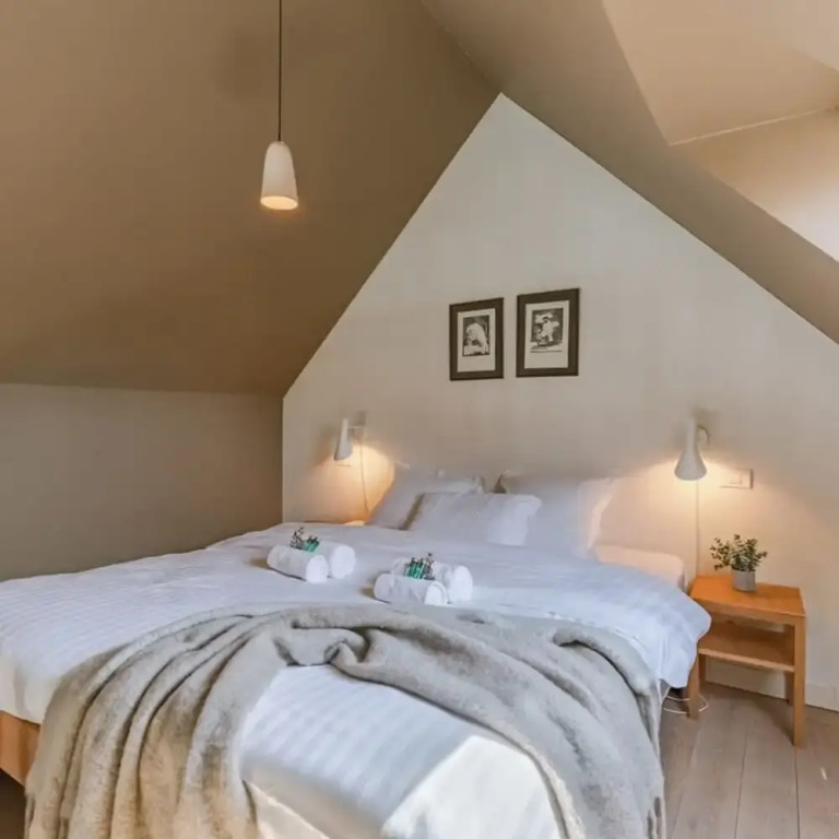 Bonrepo Room 104 in Brugge
