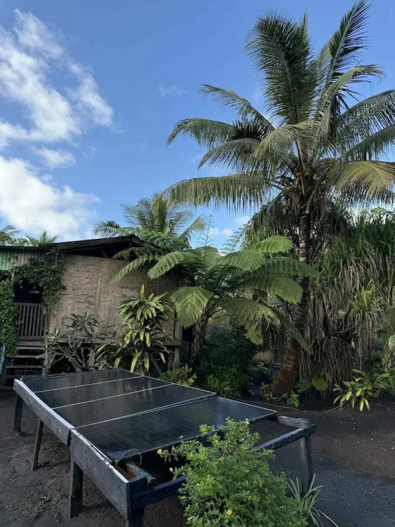 Jungle Oasis