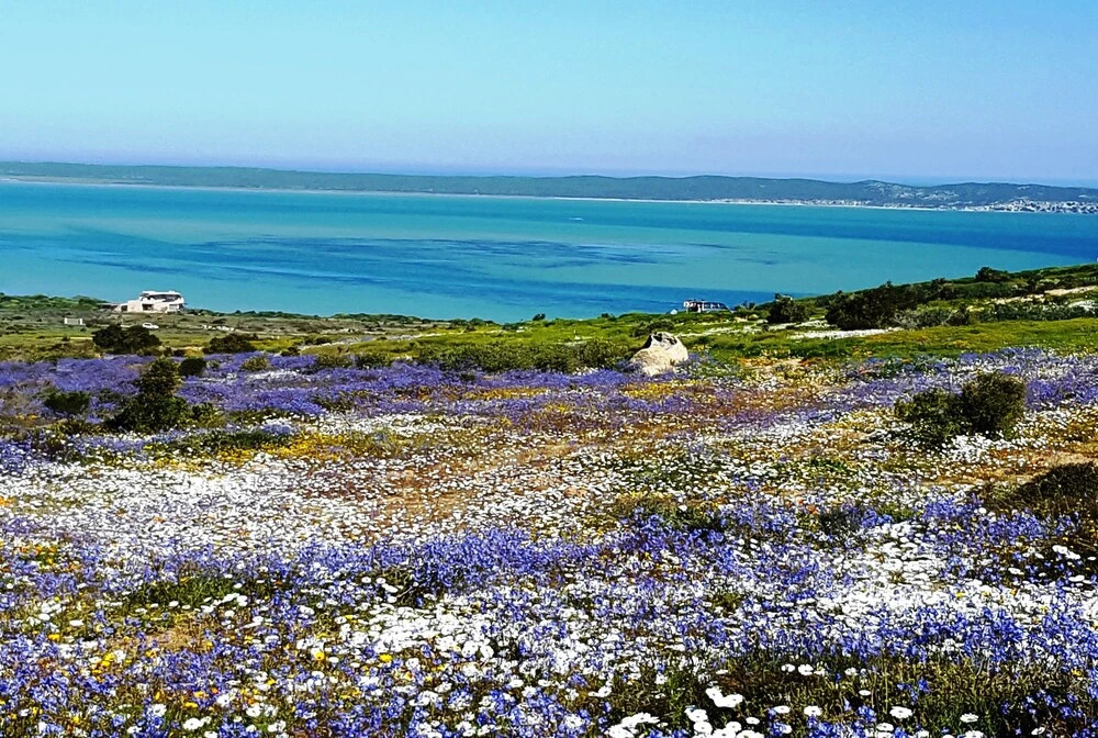8 Weskus Villa Self catering
