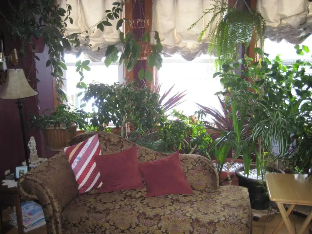 Phoenix House B&B