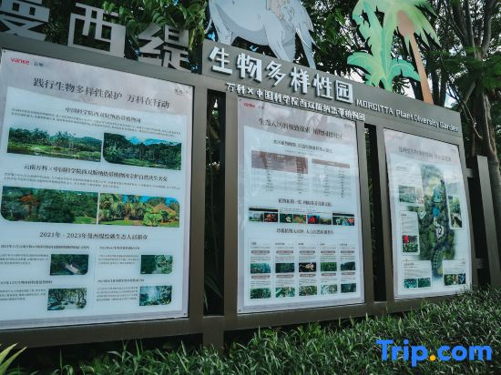 Nanshan Cangyi | Humanistic Mid-Hill · All-Suite Courtyard Villa Resort Hotel